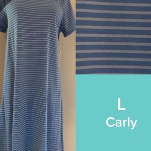 LuLaRoe Carly dress